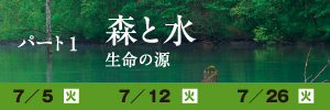 パート１ 森と水 生命の源、この講座では、「国際森林年」である今年、あらためて生命の源である森林の価値、森林との深い関係でもある水について考えます。日程は７月５日、７月１２日、７月２６日です。