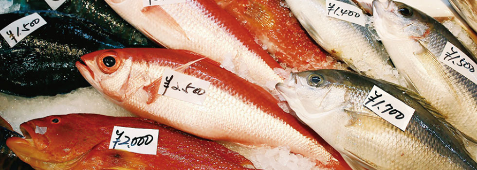 「魚食」は持続可能な食文化のキーワード